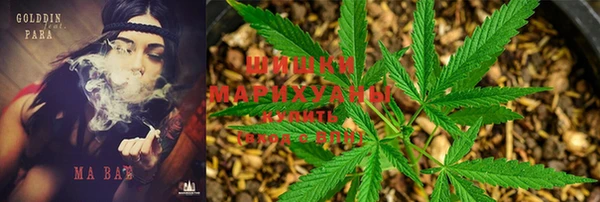 стафф Богородицк